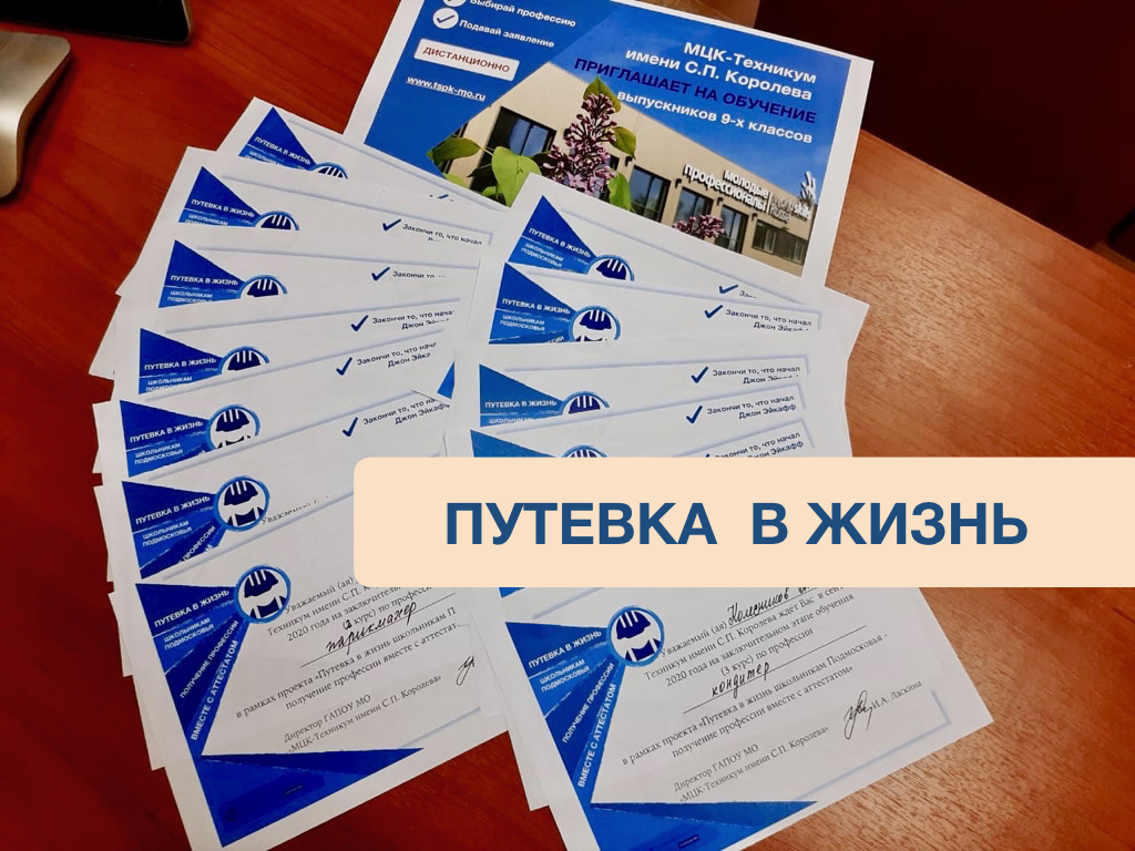 Путевка в жизнь проект
